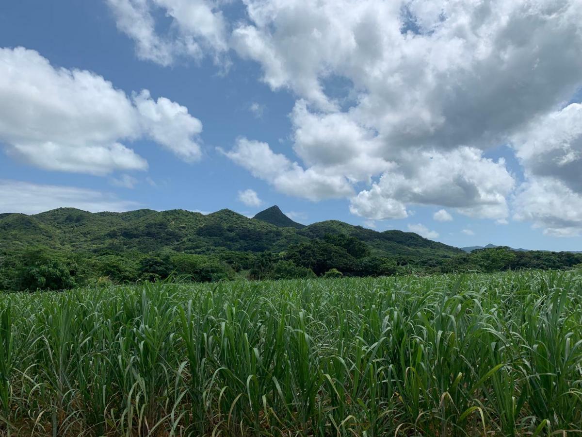 Villa Sound Of The Surf Ishigaki  Exteriör bild