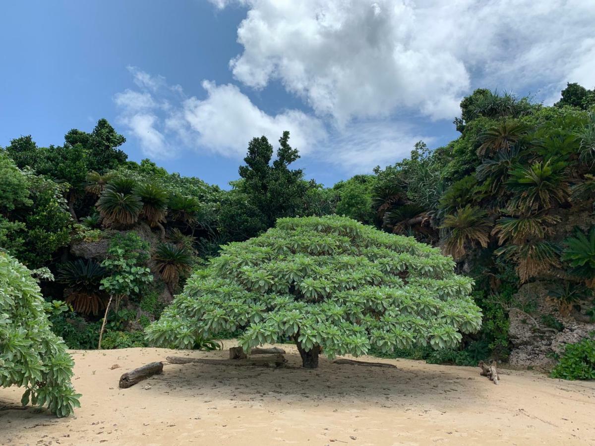 Villa Sound Of The Surf Ishigaki  Exteriör bild